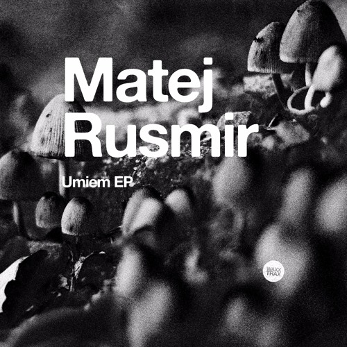 WAXX037 : Matej Rusmir - PCNL