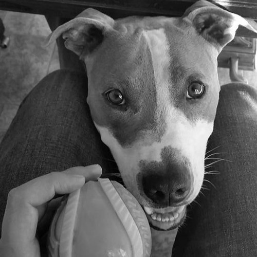 Things That Make Me Smile