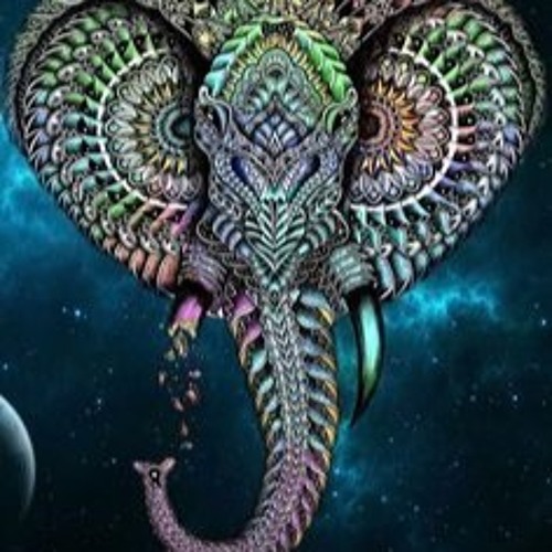 PsY Elephants
