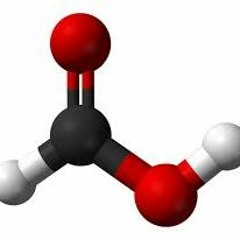 l Agence Acid Tout Risque