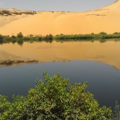 سورة طه بصوت هادئ وخشوع رائع للشيخ ناصر القطامي