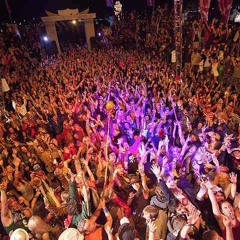 YOUR NIECE Bassnectar Warmup Set SGP 2011