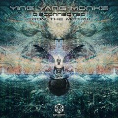 Disconnected from the Matrix (Maharetta records)