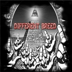 Different Breed- feat. Double R "The Boss", Mike Grove & Richie McWicked