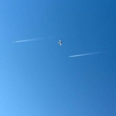 Etheric Sunshine Lullaby (Nothing But Wind)