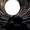 The Dark Knight Rises -why do we fall