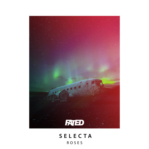 Roses - Selecta