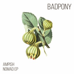 Premiere: Ampish - Paradise [Bad Pony Records]
