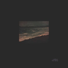 Calibre - Enter
