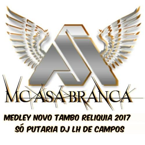 MC ASA BRANCA MEDLEY TAMBOR RELIQUIA SÓ PUTARIA 2017  [[[DJLH]]]