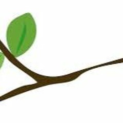 Eco Rem & Pro.Tone - Paella Vegetariana(BIO)