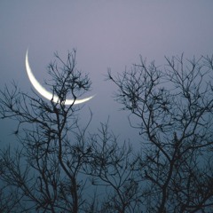 Cry Me a River/Heartless- MashUp Cover