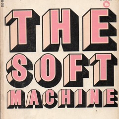 .::Ch:naski::. The Soft Machine