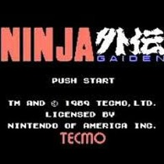 Ninja Gaiden - Unbreakable Determination