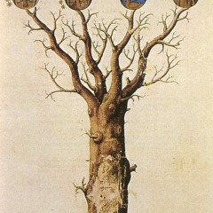 Pink and Gold - 24:03:2017 17