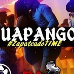 Huapangos mix estilo S.L.P