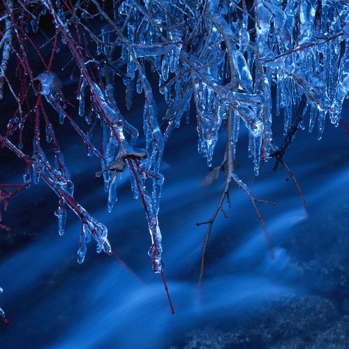 ICE (INVALUABLE x DEADALIVE)