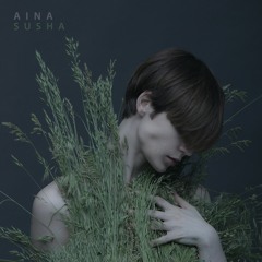 AINA - Zemlya (EP Susha 2017)