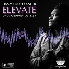 Dammien Alexander - Elevate (Underground Sol Remix)