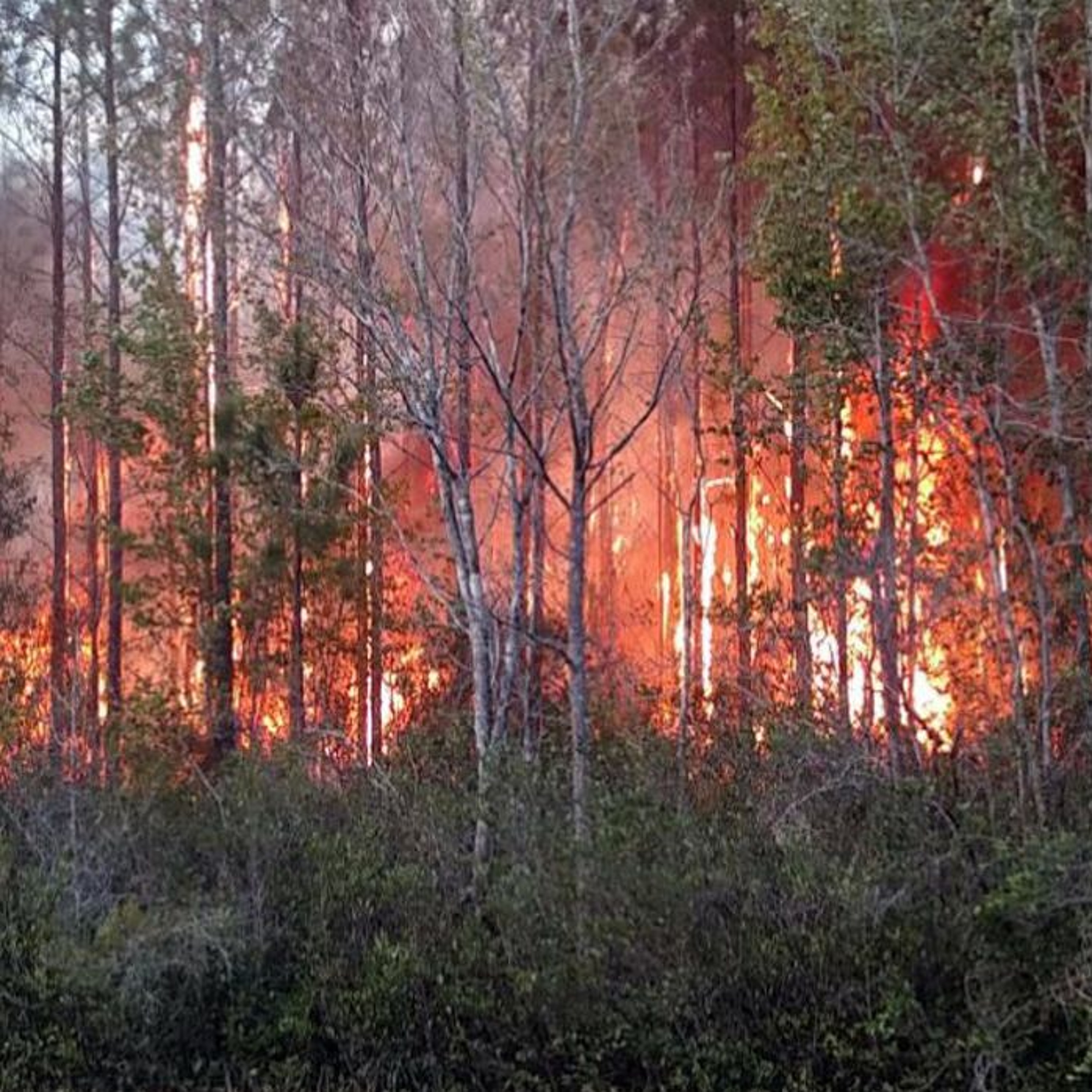 911 call Nassau County brush fire thumbnail