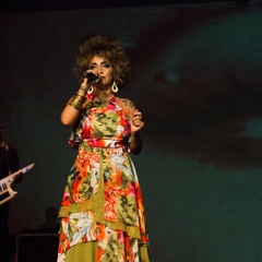 Butterflies (Amazônia Lounge)