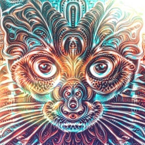 Peripheral / Spring 2017