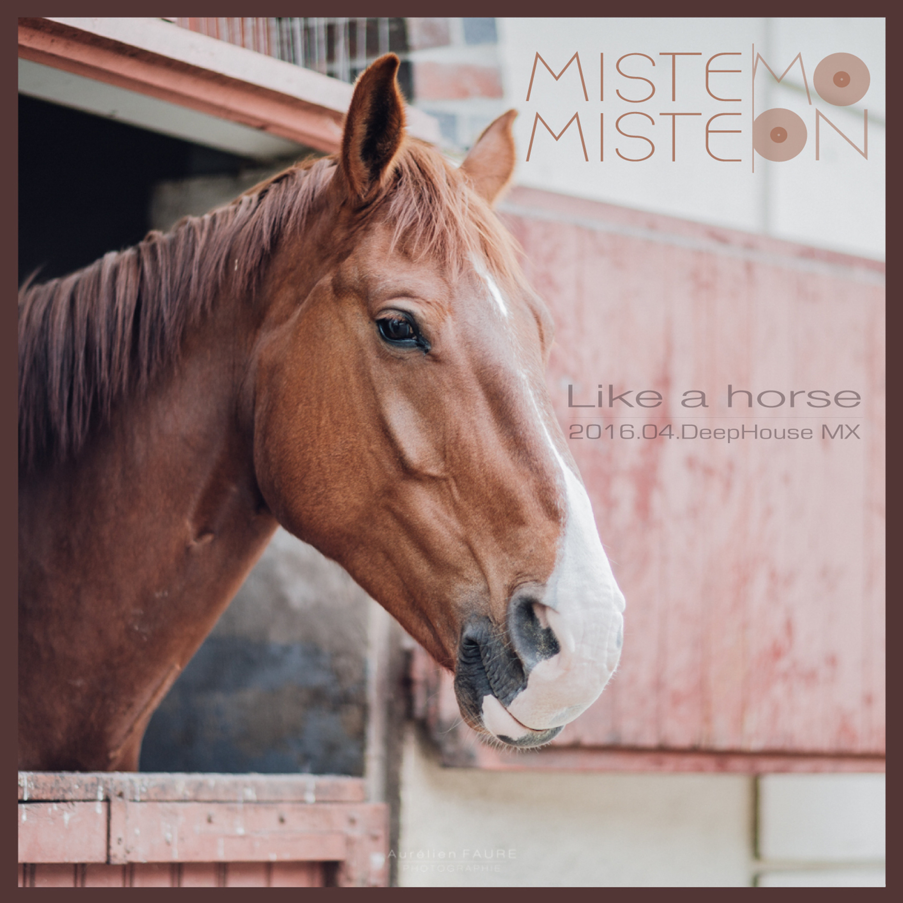 mistemistemoon podcast