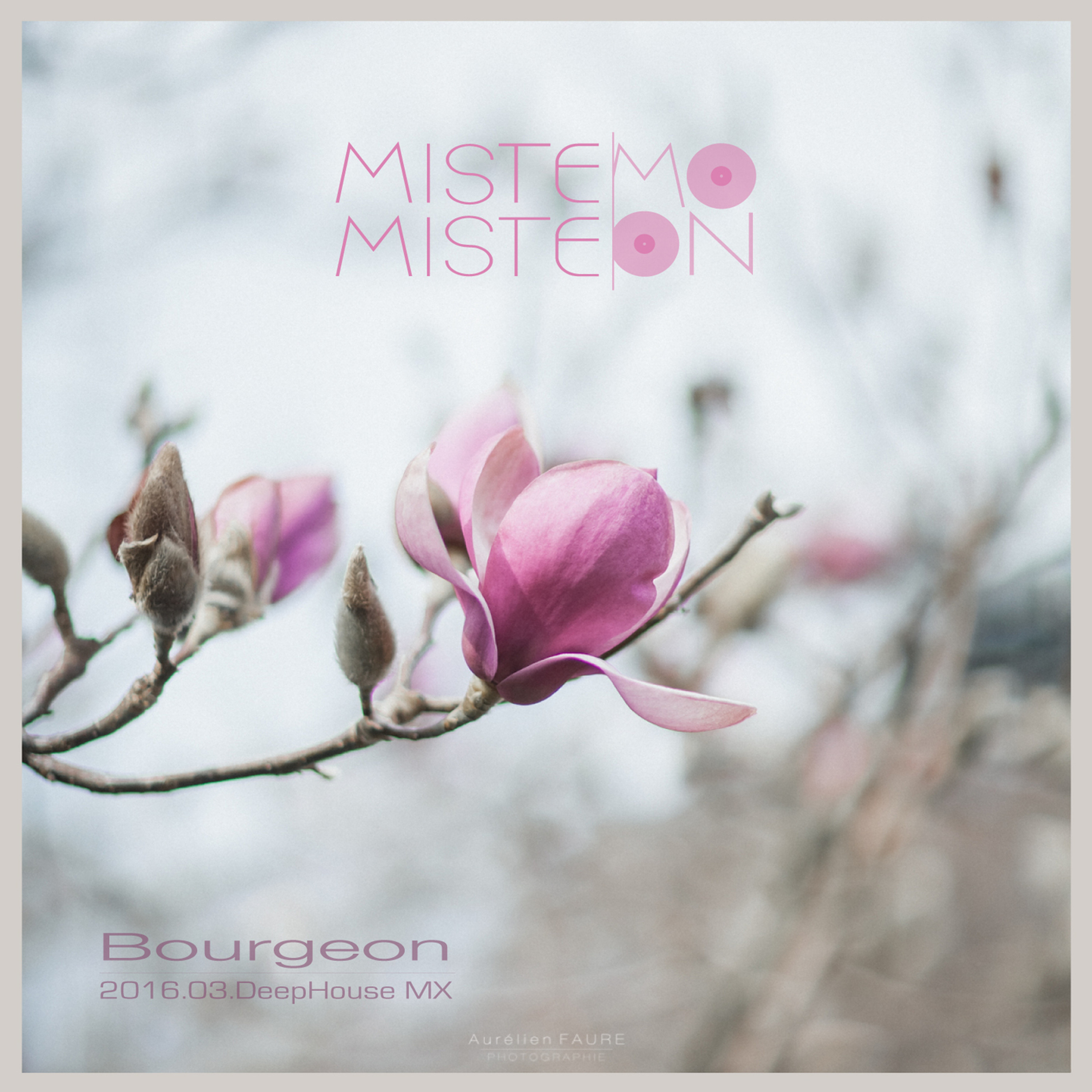 mistemistemoon podcast