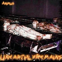 ANIMUS - UnearthlyRemains (prod. BIV)