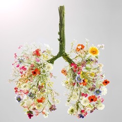 I Think Ive Been Here Before feat. Apollodor