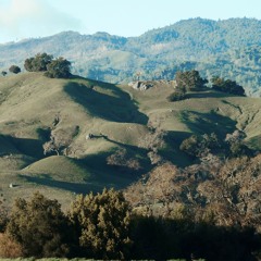 Original Compositions