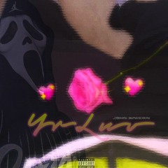 Yr Luv