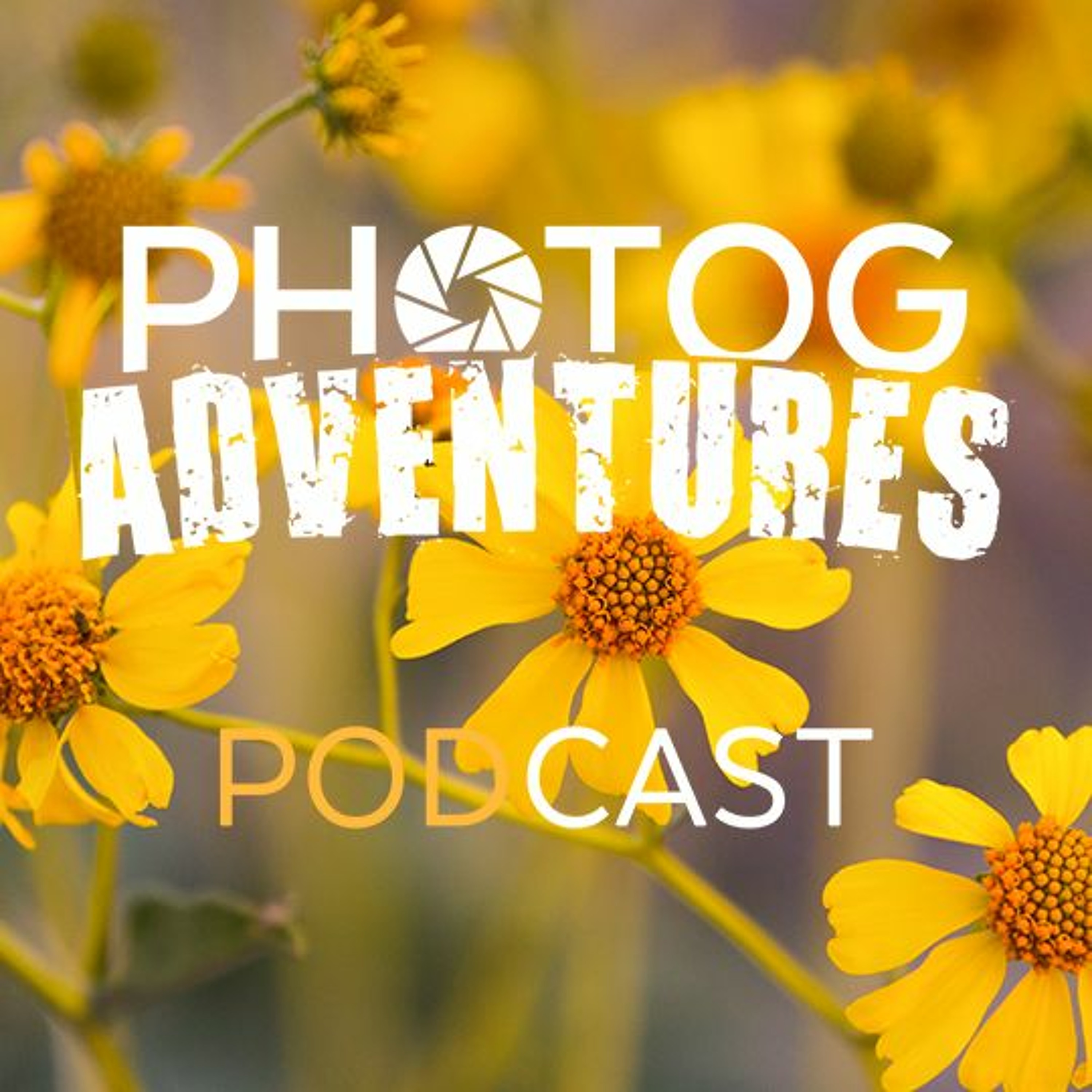Jeff Harmon joins us to talk expectations & things learned from the IP Retreat | Ep 26