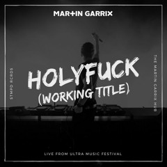 Martin Garrix - Holyfuck ( Working Title )