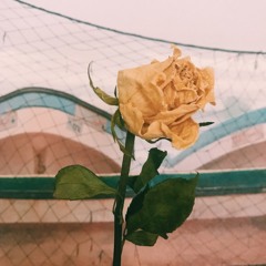 منكِ الصدود | أبو العلاء المعري