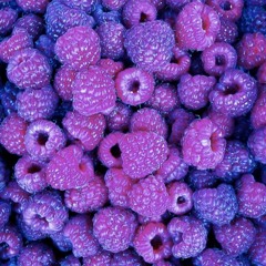 [ Train Rides & Snickers ]