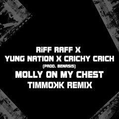RIFF RAFF X YUNG NATION X CRICHY CRICH - MOLLY ON MY CHEST (TIMMOKK REMIX)