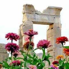 شهرداد روحانی،  رقص بهار