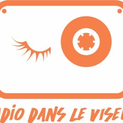 Radio Dans le Viseur #13 - Emission du 23/03/2017