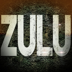 Almir Ljusa - Zulu (Dj Brutec Remix) Vertex Records