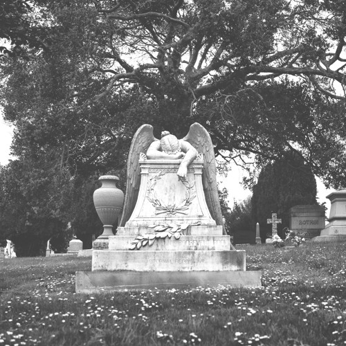 Post Punk Affiliated - Volume 36