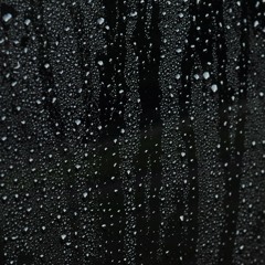 〖The Violation 006〗台北的天氣很爛★Bad weather in Taipei,2017