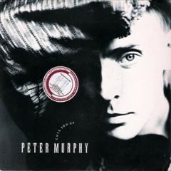 Peter Murphy - A Strange Kind Of Love (Version Two)
