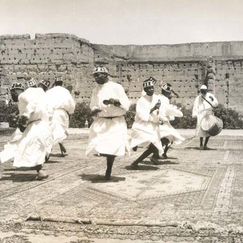 Stream Music Transcends Borders: Morocco (Hive Mind Records) by Música ...