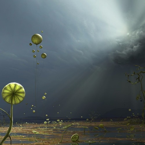 Odd Wind