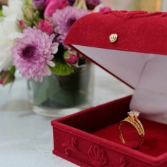 أصيل هميم _ يابعيد وجابك الله