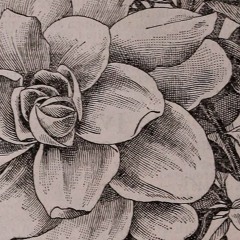 God Bless the Child ~ Maya Pennington & Moriel Hoffman