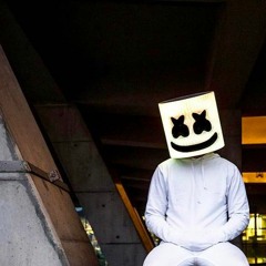 Marshmello X Martin Garrix