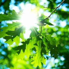 Qué lindo es cuando sale el sol, ¿no?