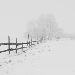 Winter Years
